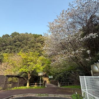 北に降りて階段登ります↗️
