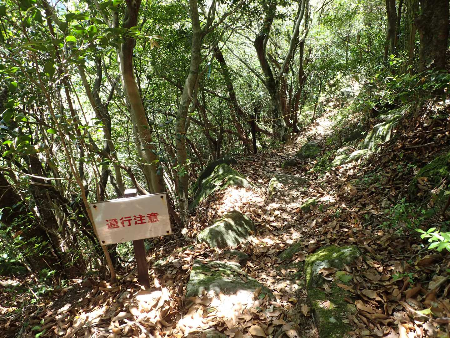 上りでルート 外れ このロープの左下から登ってきたんですよ