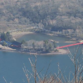 ここから参拝🙏させて頂きました