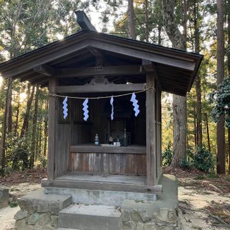 本丸到着。
山頂はここでは無いのです。
今度、久しぶりに行こうかと思います。