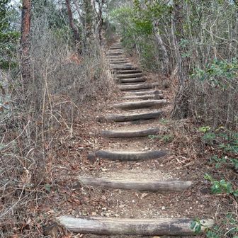 山頂へのラストの登り