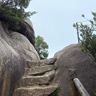 あと少し🤏
ありゃ？雨が降ってきた💦