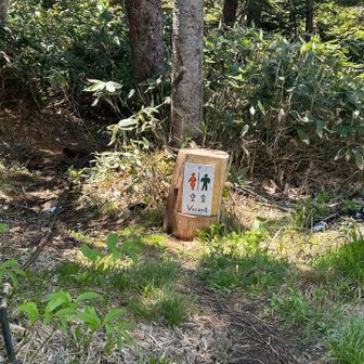 トイレ
地面に便器が埋まってました