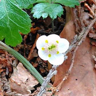 やっぱ
可愛い過ぎるなぁ💘