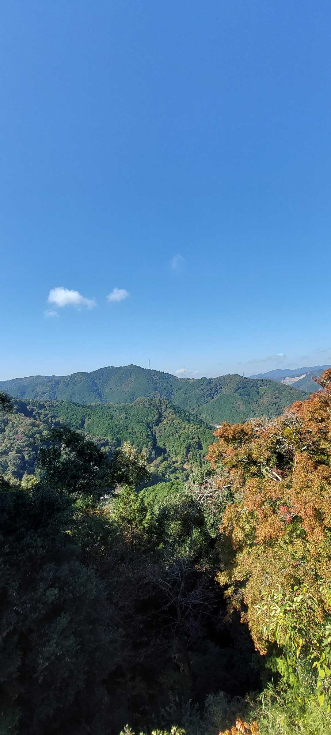 なかなかの景色でした🎵