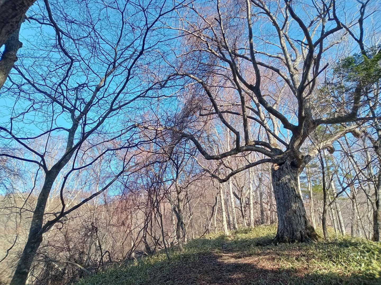 やっぱり山は天気8割だねぇ