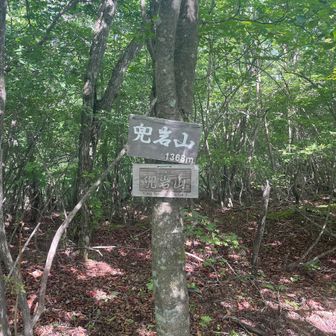 ようやく兜岩山山頂に到着💦
偽ピークに騙され実際の距離以上に長く感じた
先の展望ポイントまで行ったが展望なし❌