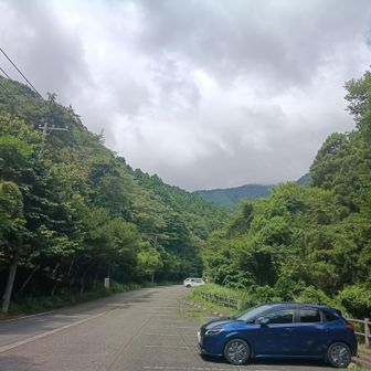 山頂は雲の中