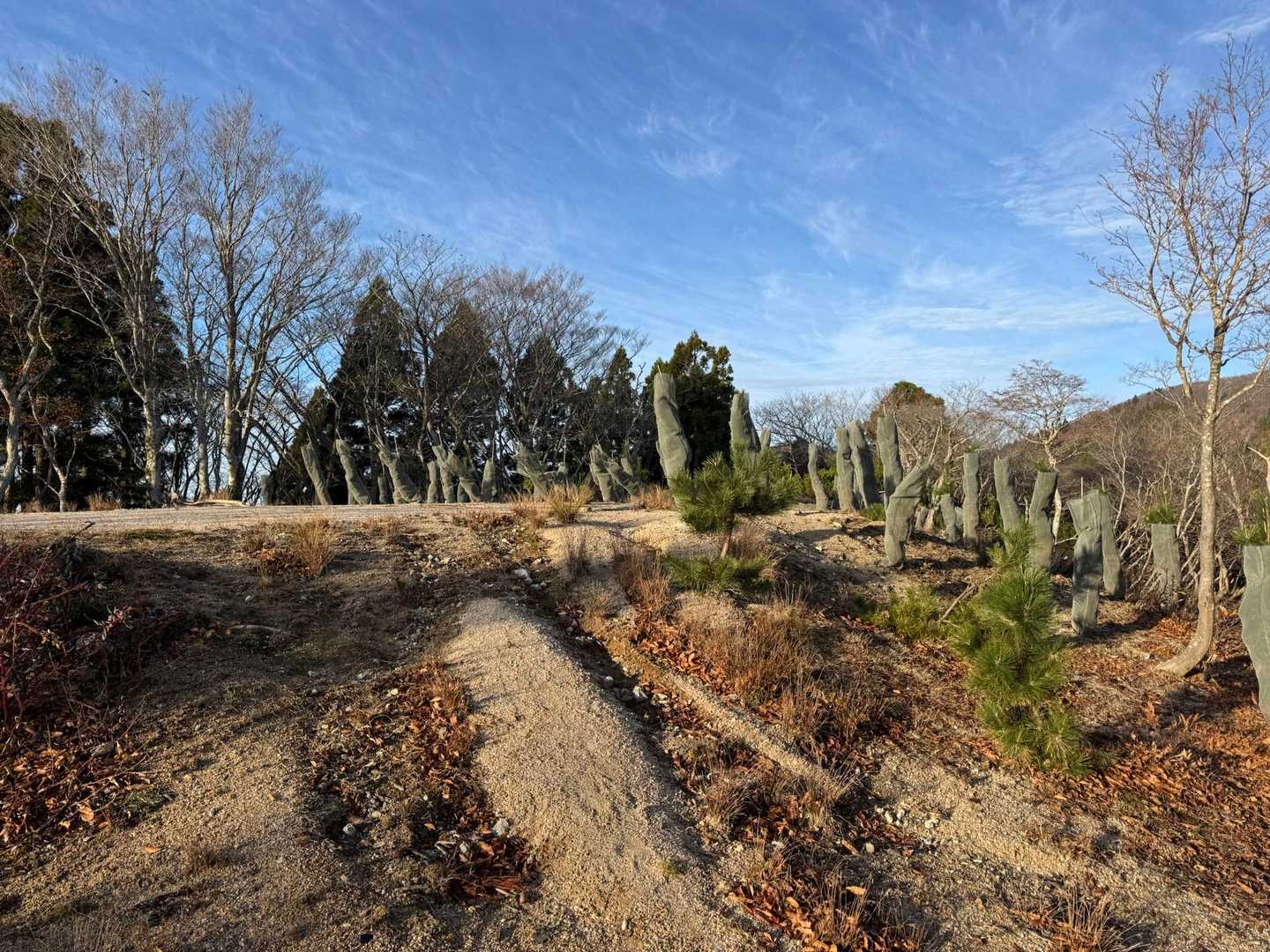 北比良峠から5分ほど登れば
前山のピーク踏めます。
何気に今回山頂行ってないので
近い前山踏んでおきます。
