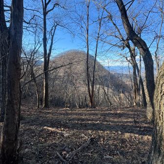 見えてきました

御荷鉾山3つめのお山、オドケ山

あの見た目、、
