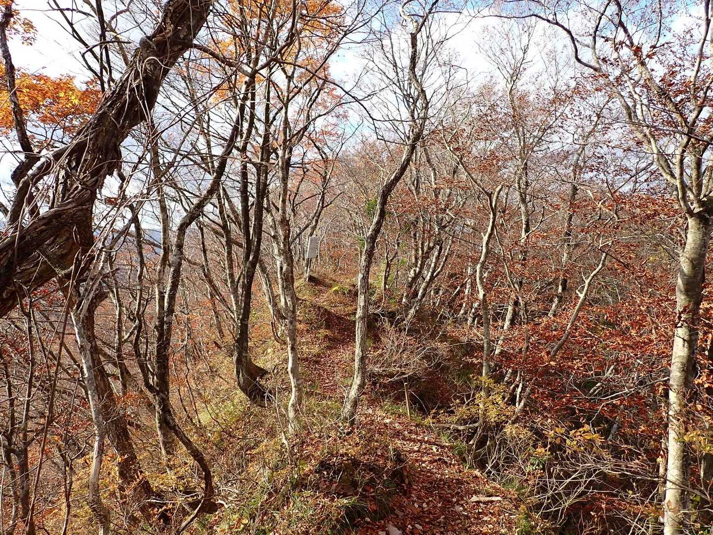 保呂羽山 周回コースの写真