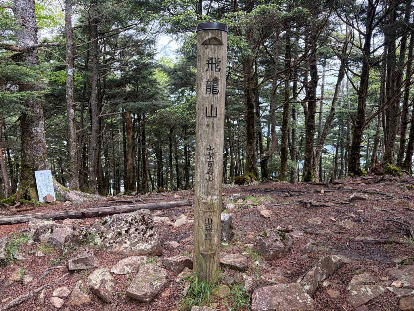 完