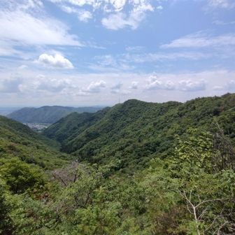 なかなかいいです