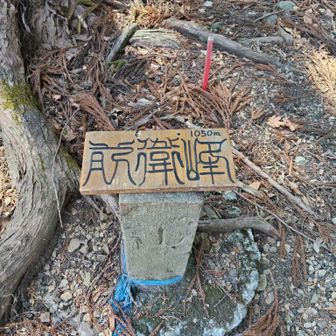 前衛峰とかに到着