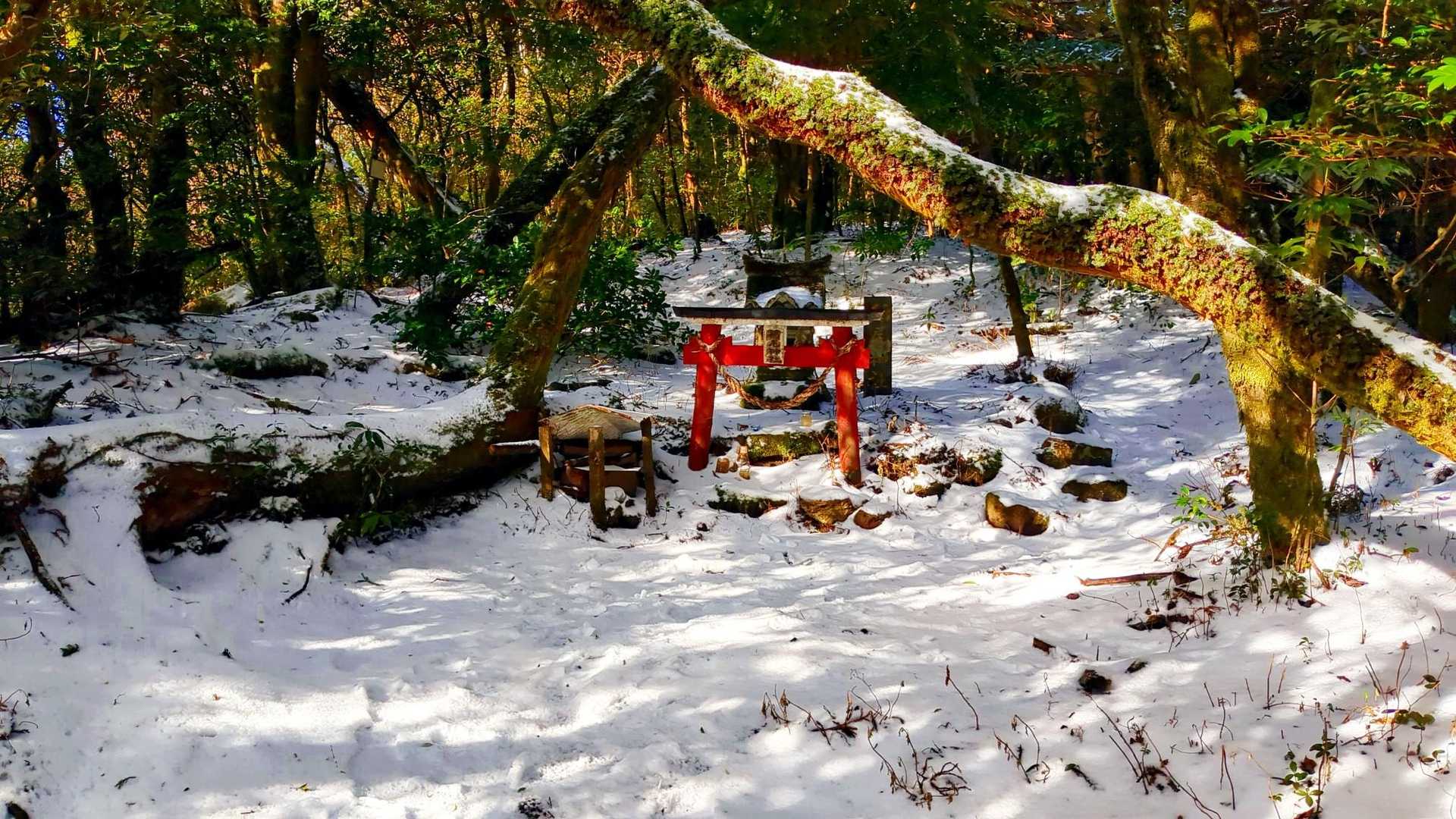 稲尾岳山頂。稲尾神社。無事下山出来るようにお参りしました。