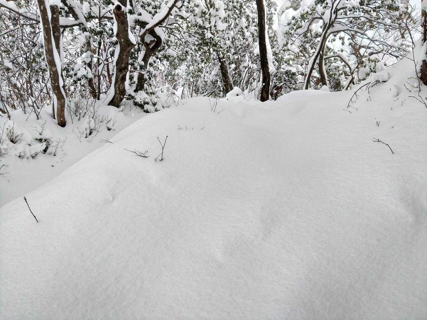 さて、徐々に積雪が増えてきます。