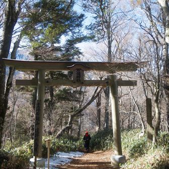 鳥居も全部出ていらっしゃる