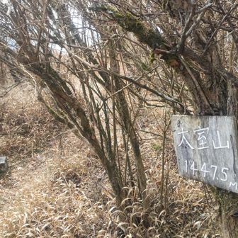 大室山の南峰側