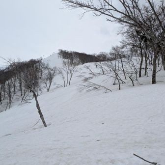久々野峠からみた鍋倉山
