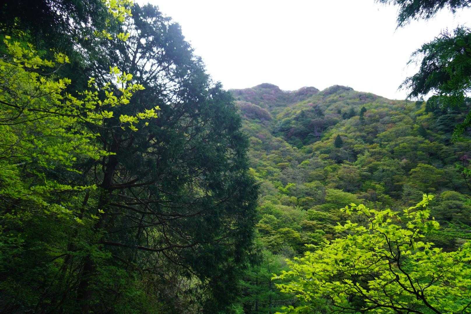 山頂まだまだやん(;´Д｀)