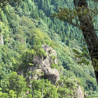 途中までしか行けなかった地蔵岳⛰️