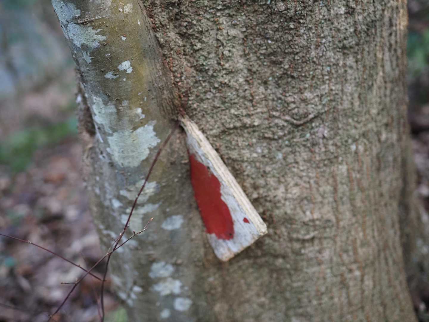看板みたいなのが食い込んでいる