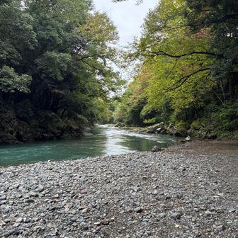入間川いいねー