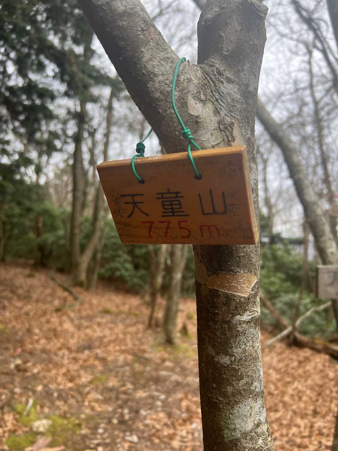 天童山⛰到着〜✨
（眺望…ありません😢）