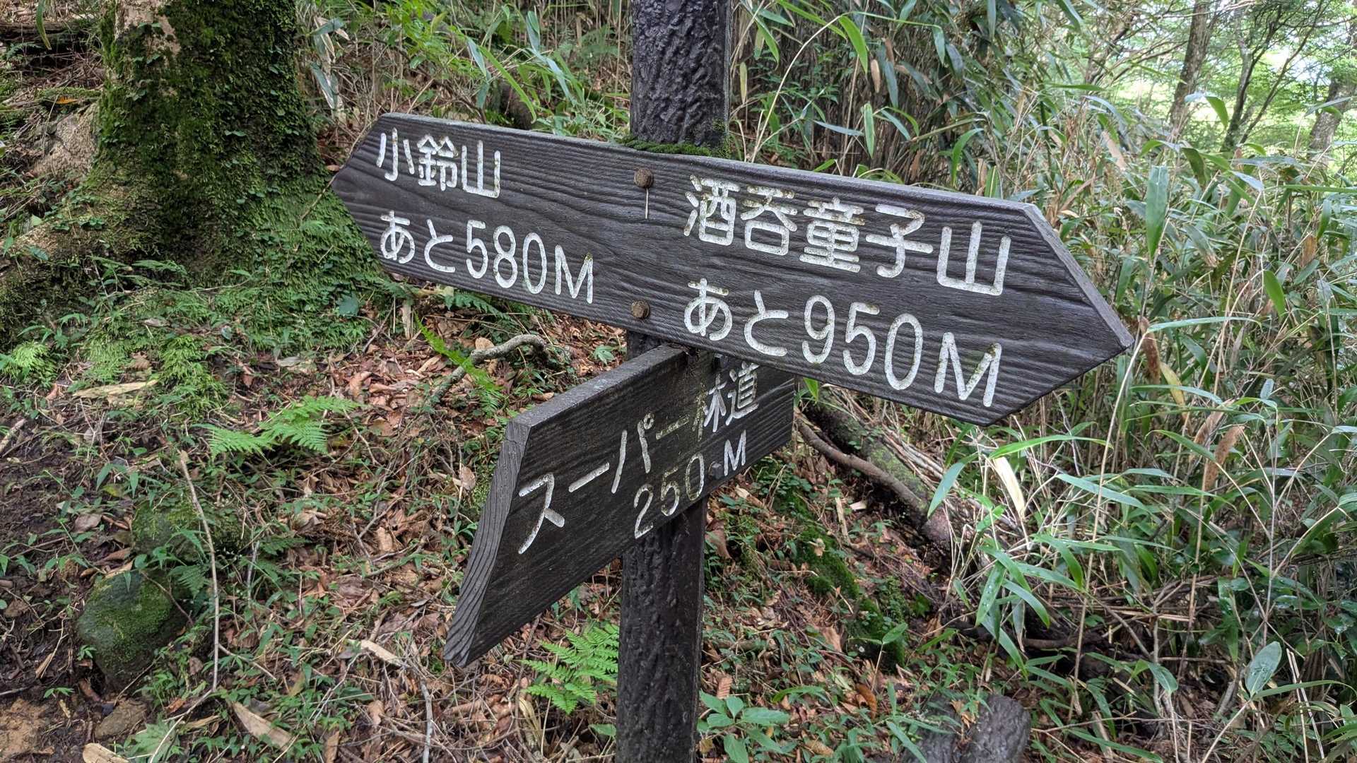 酒呑童子と小鈴山分岐点