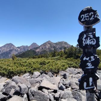 あの、くしだんご風🍡の山頂標識が編笠山でも健在💡