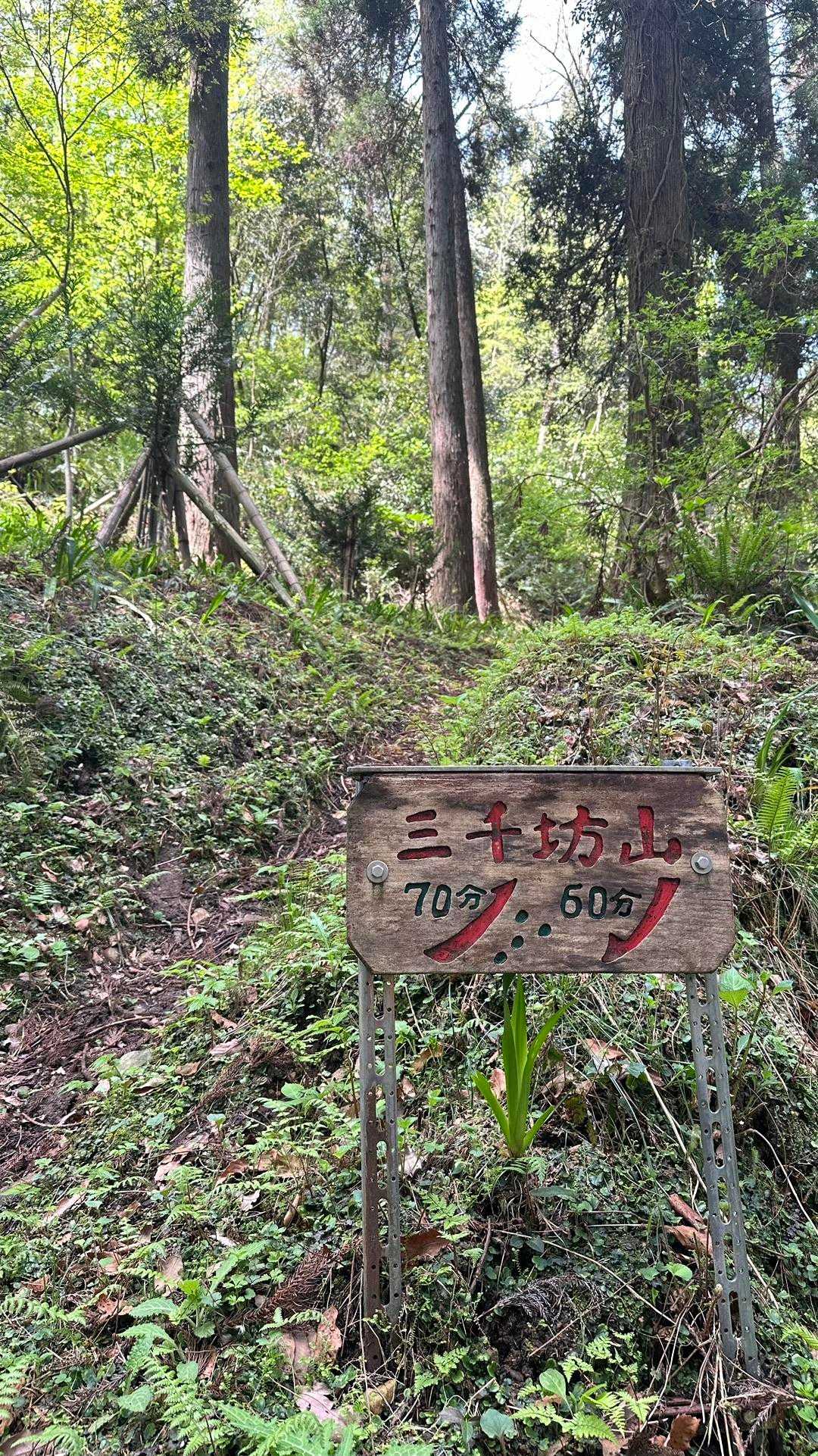 今回の目的。赤字の道標。ナイスだぜ👍