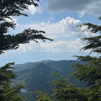 大烏山山頂までもどって
見えてたのは南アルプスだったと判明！