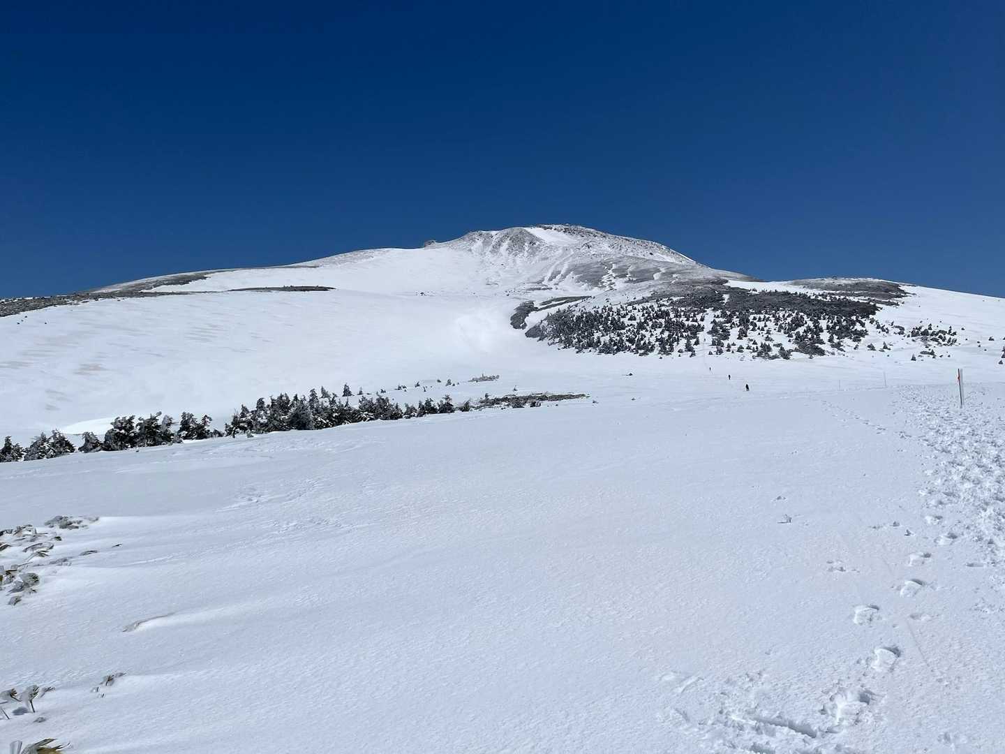 これから向かう御前峰。白山4回目(たぶん)にして初めての晴れ☀️です。
弥陀ヶ原の雪原が白く美しいですが、風強く、一気に体感気温が低下