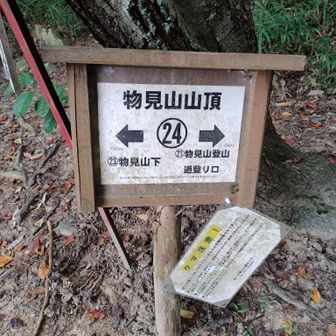 急ぐため下りは林道