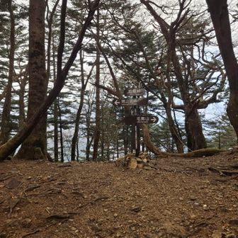 地蔵峠は新しい標識ができたのね。