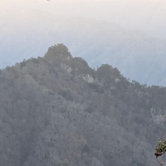 ヤツウチグラ～～

遠目に見ても海坊主