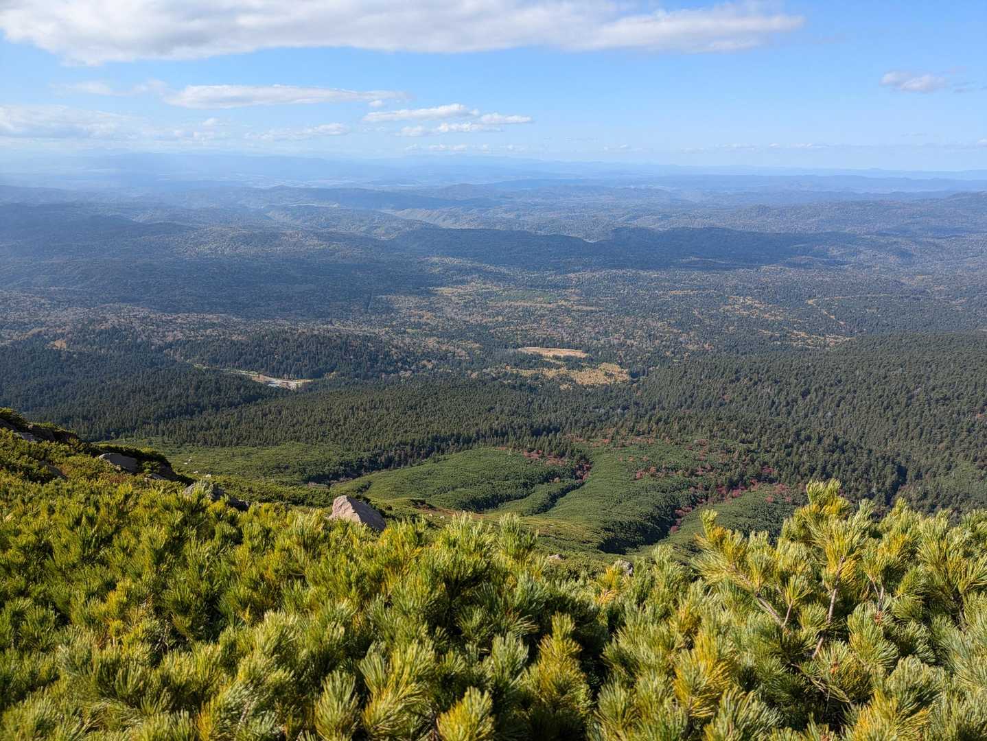 雌阿寒温泉登山口-雌阿寒岳-阿寒富士 往復コースの写真