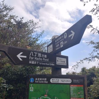 河津町最高峰の青スズ台の山頂。眺望はありません