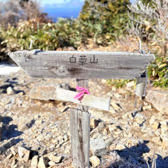 これ撮ってから山頂で1時間強粘ったけど御嶽山の全容見れず…😓