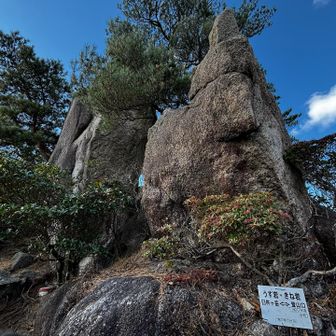 うす岩ときね岩🪨
山の由来の岩やろね〽️