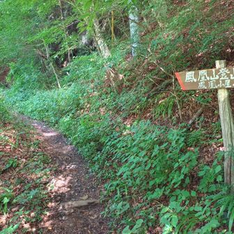 登山スタート。