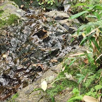 これはちょっと泡立って飲めなそうですよ💦