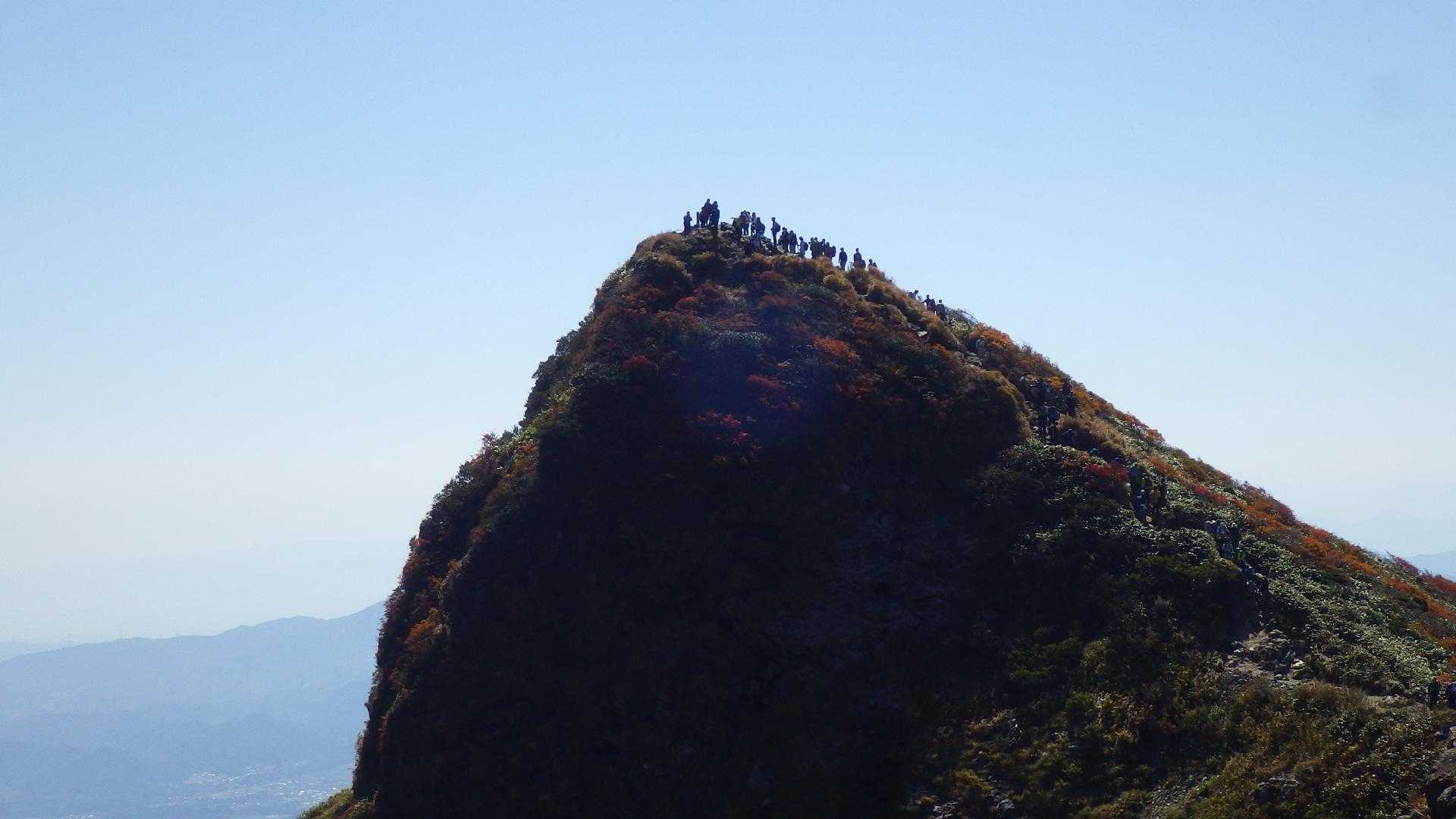 トマの耳にも沢山の人々のシルエット😃