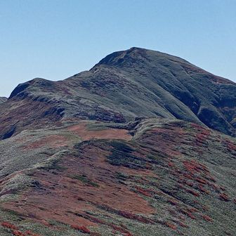 下山中に振り返りました。絨毯とまでは言えませんが、紅葉の中を歩きました。