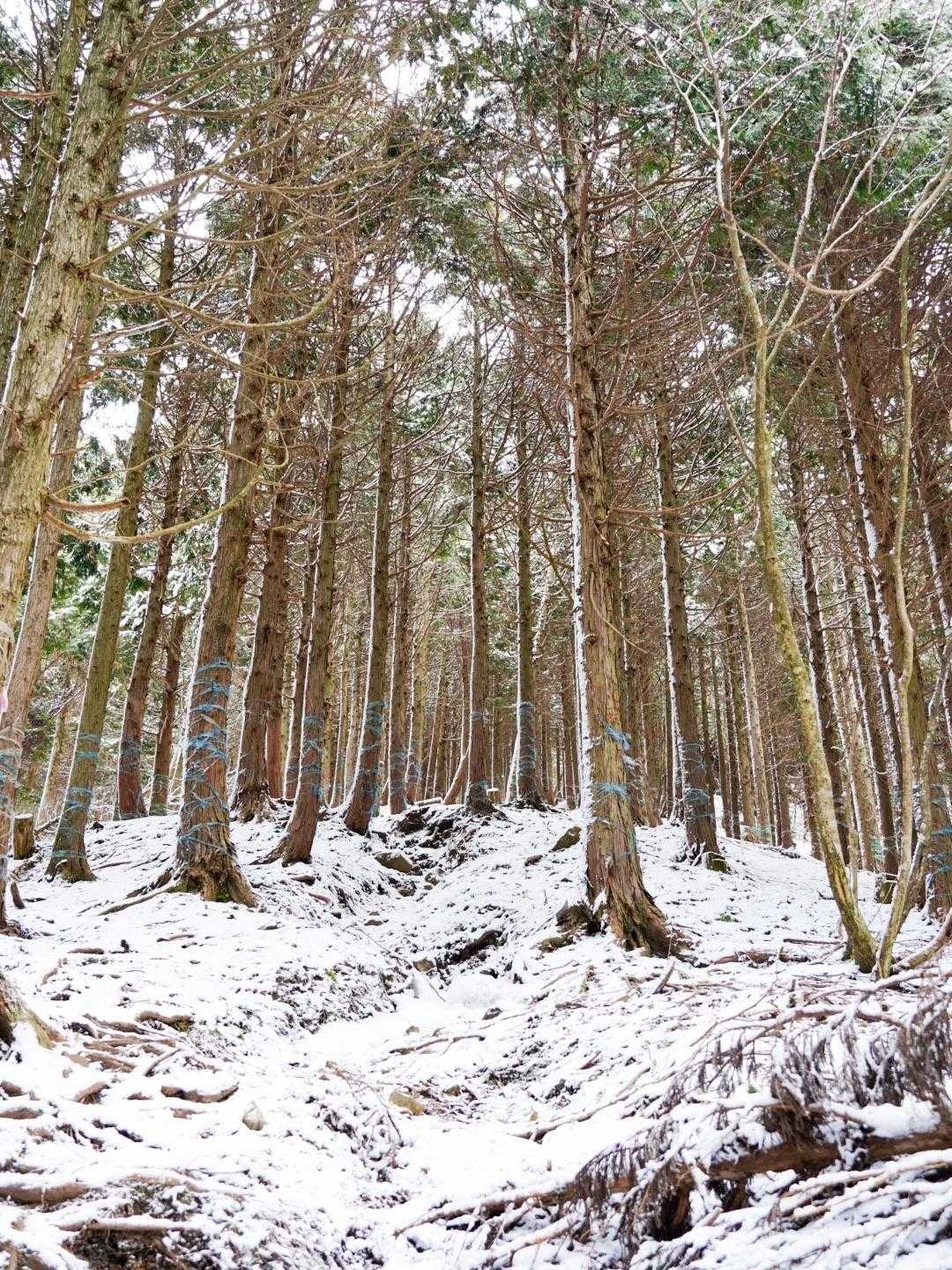 今日も山にひとり☺️


