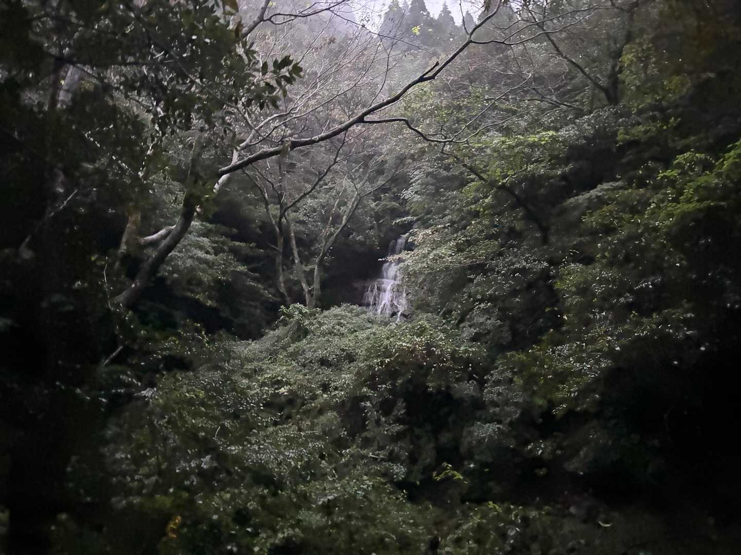 瑞梅寺登山口-井原山-本富士山-富士山-雷山-上宮-洗谷登 周回コースの写真