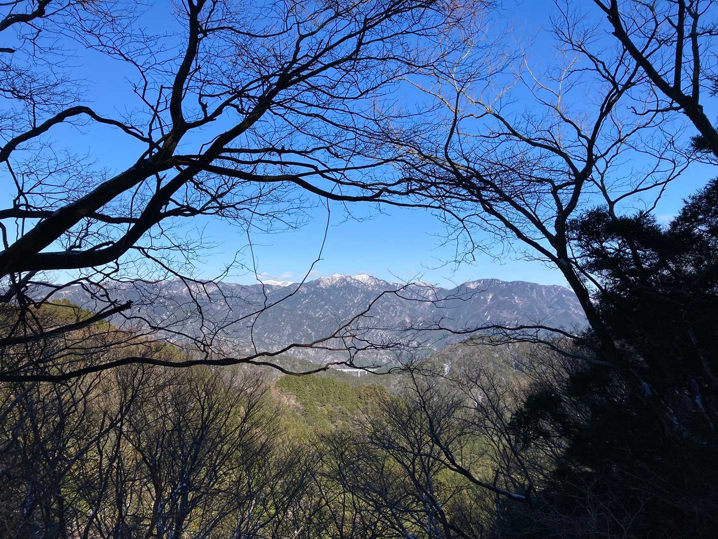 木々の隙間から鈴鹿の仙ヶ岳や雨乞岳の姿が😄