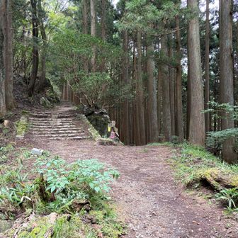 ここ、左⬅️は日の出山。
私は、右➡️のつるつる温泉へ。