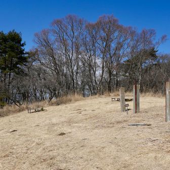 こんな草原になってます🙂