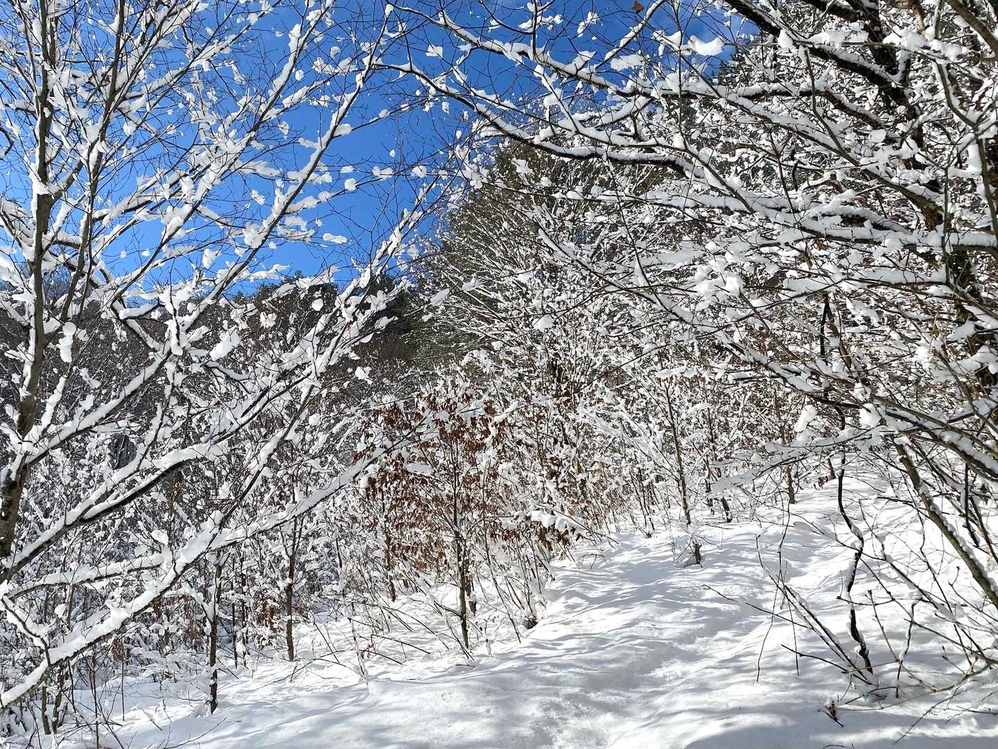 青空がうれしい